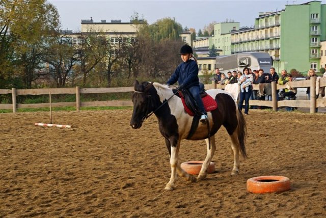 Hubertus 2009